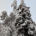 Uusi Saunamoekki Jaemsaessae, Laehellae Himosta Chalet Jämsä