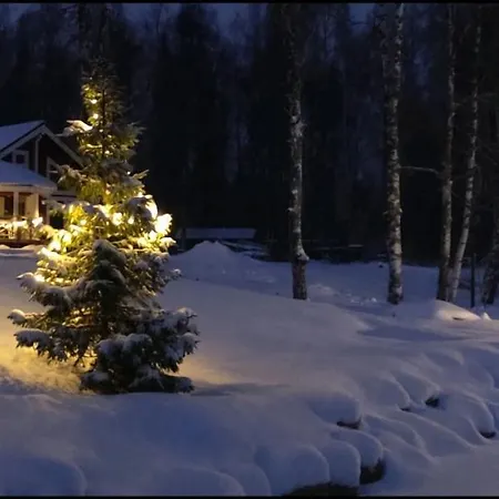 Uusi Saunamoekki Jaemsaessae, Laehellae Himosta *