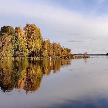 Uusi Saunamoekki Jaemsaessae, Laehellae Himosta *