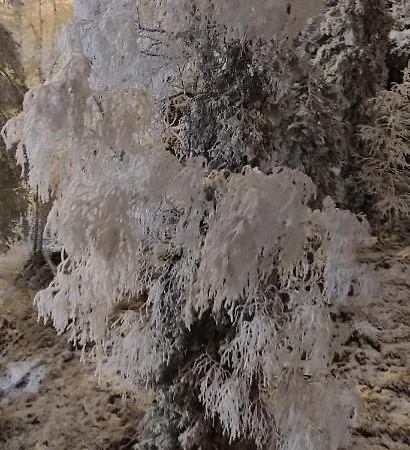 Uusi Saunamoekki Jaemsaessae, Laehellae Himosta Horská chata *