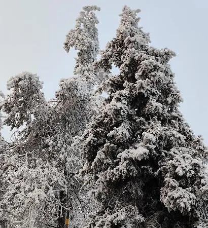 Uusi Saunamoekki Jaemsaessae, Laehellae Himosta Chalet Jämsä