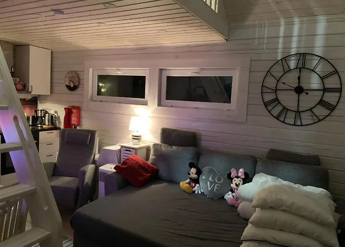 Uusi Saunamoekki Jaemsaessae, Laehellae Himosta 木屋 Jämsä