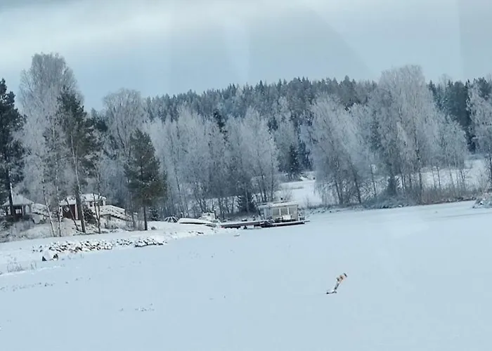 Uusi Saunamoekki Jaemsaessae, Laehellae Himosta Chalet
