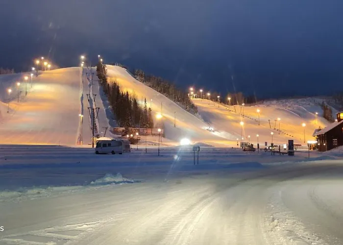 Uusi Saunamoekki Jaemsaessae, Laehellae Himosta Chalet Jämsä