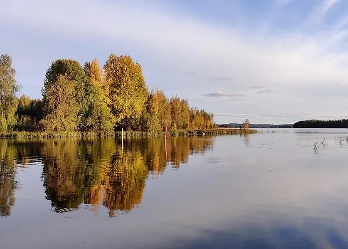 Uusi Saunamoekki Jaemsaessae, Laehellae Himosta *