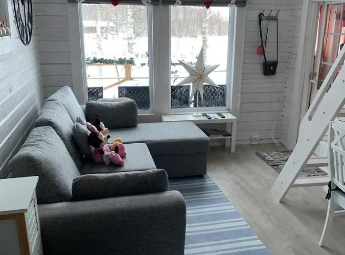 Uusi Saunamoekki Jaemsaessae, Laehellae Himosta 木屋